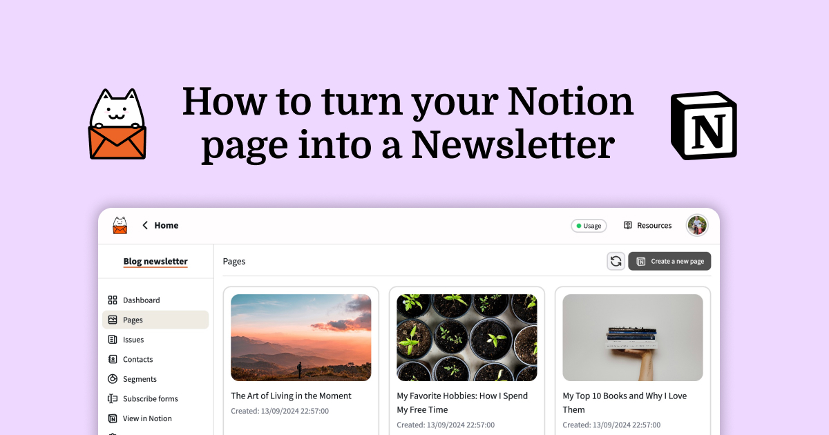 Notion page to newsletter with Notocat.